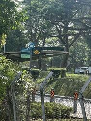 tanglin-road photo thumbnail #2